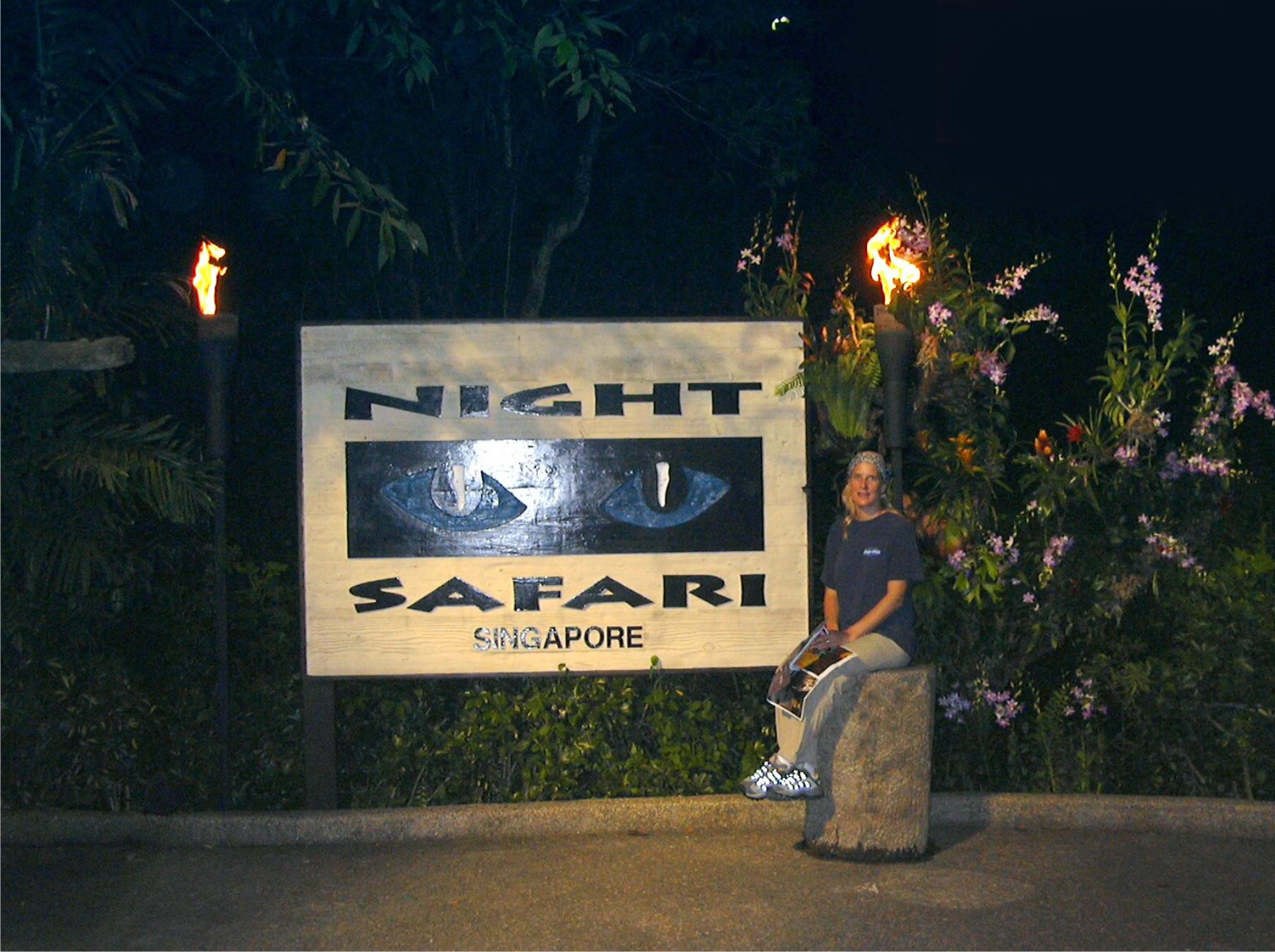 https://d3r8gwkgo0io6y.cloudfront.net/upload/night safari.jpg